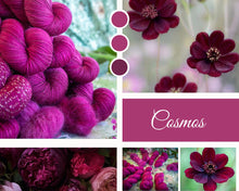 Charger l'image dans la galerie, Cosmos