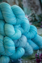 Charger l'image dans la galerie, Myosotis