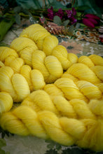 Charger l'image dans la galerie, Mimosa