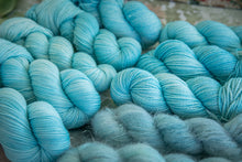 Charger l'image dans la galerie, Myosotis