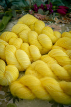 Charger l'image dans la galerie, Mimosa