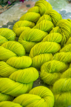 Charger l'image dans la galerie, Bourgeon