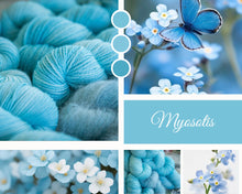 Charger l'image dans la galerie, Myosotis
