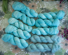 Charger l'image dans la galerie, Myosotis
