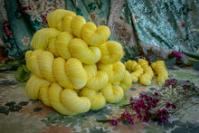 Charger l'image dans la galerie, Mimosa
