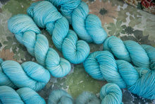 Charger l'image dans la galerie, Myosotis
