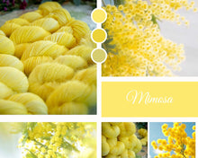 Charger l'image dans la galerie, Mimosa
