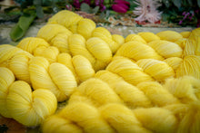 Charger l'image dans la galerie, Mimosa
