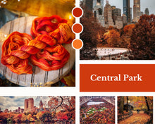 Charger l'image dans la galerie, Central Park
