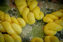 Charger l'image dans la galerie, Mimosa
